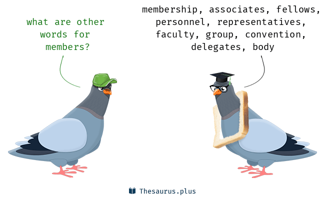 members synonym