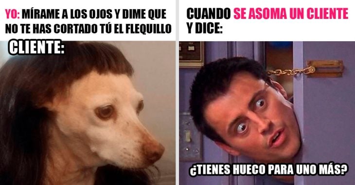 meme de peluquero