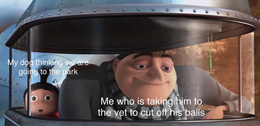 meme despicable me