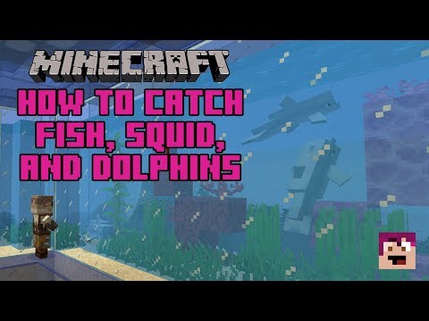 minecraft how to catch squid