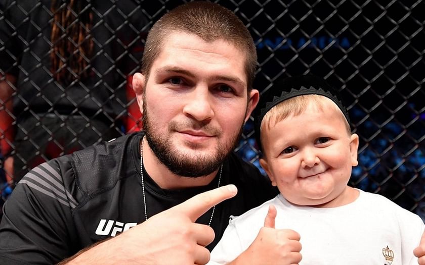 mini khabib