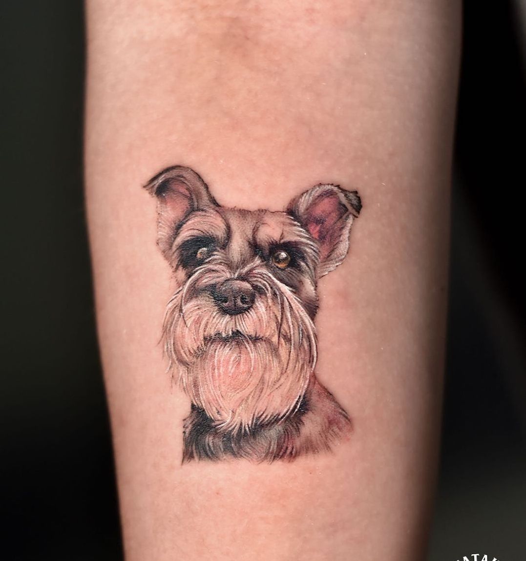 miniature schnauzer tattoo