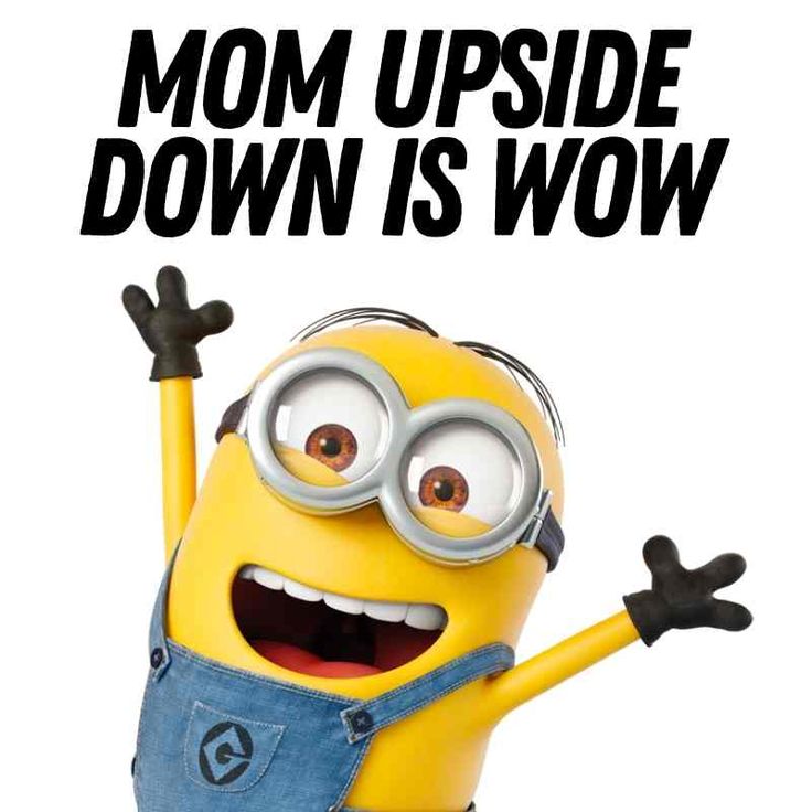 minion memes for moms