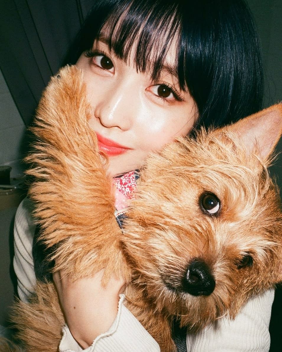 momo boo