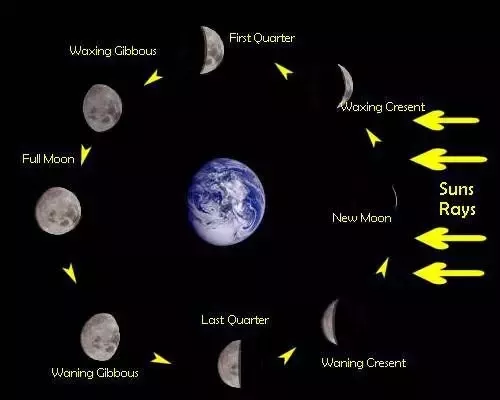 moonrise in which direction