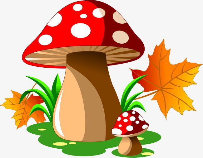 mushroom vector png