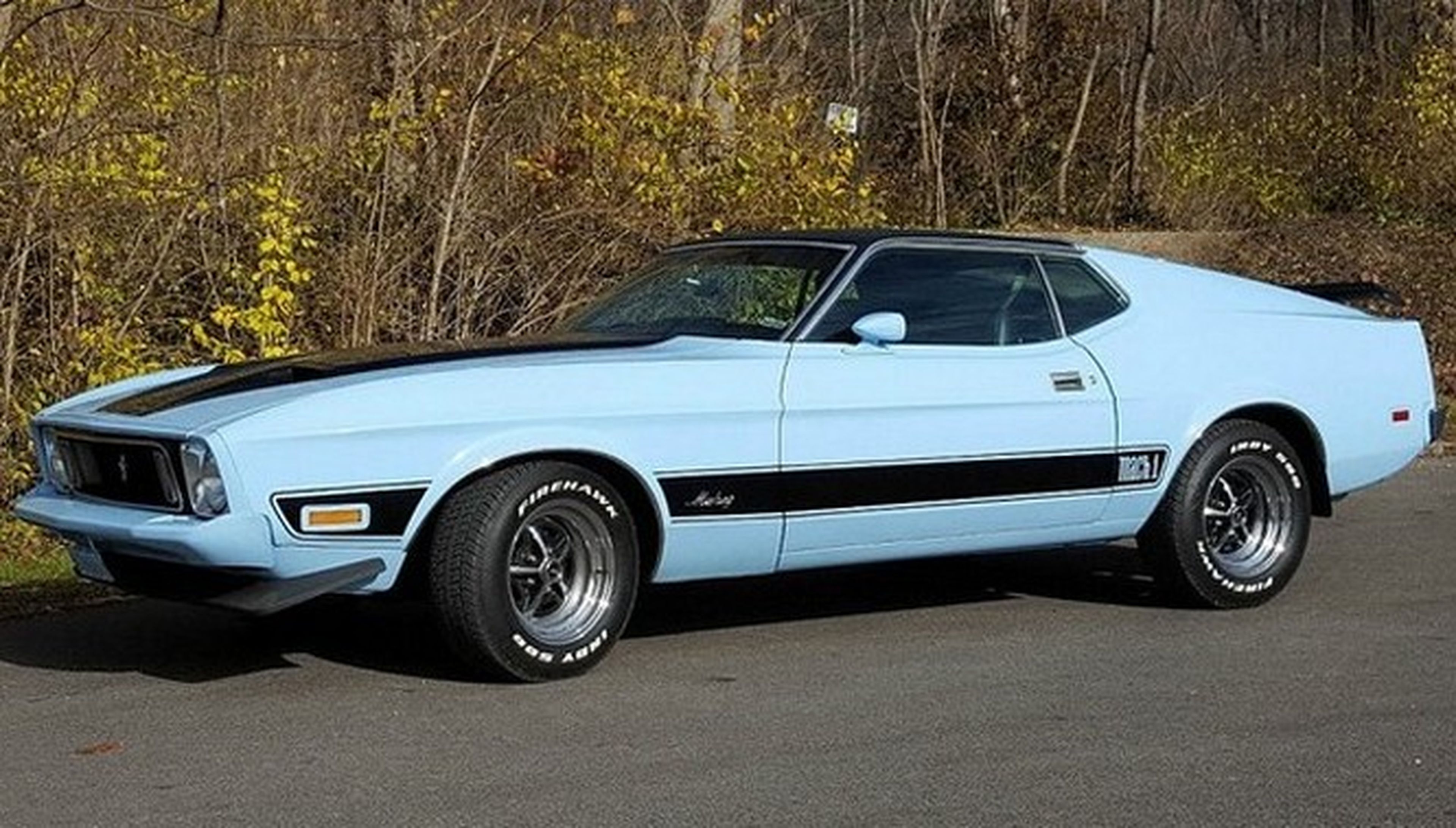 mustang mach 1 1973