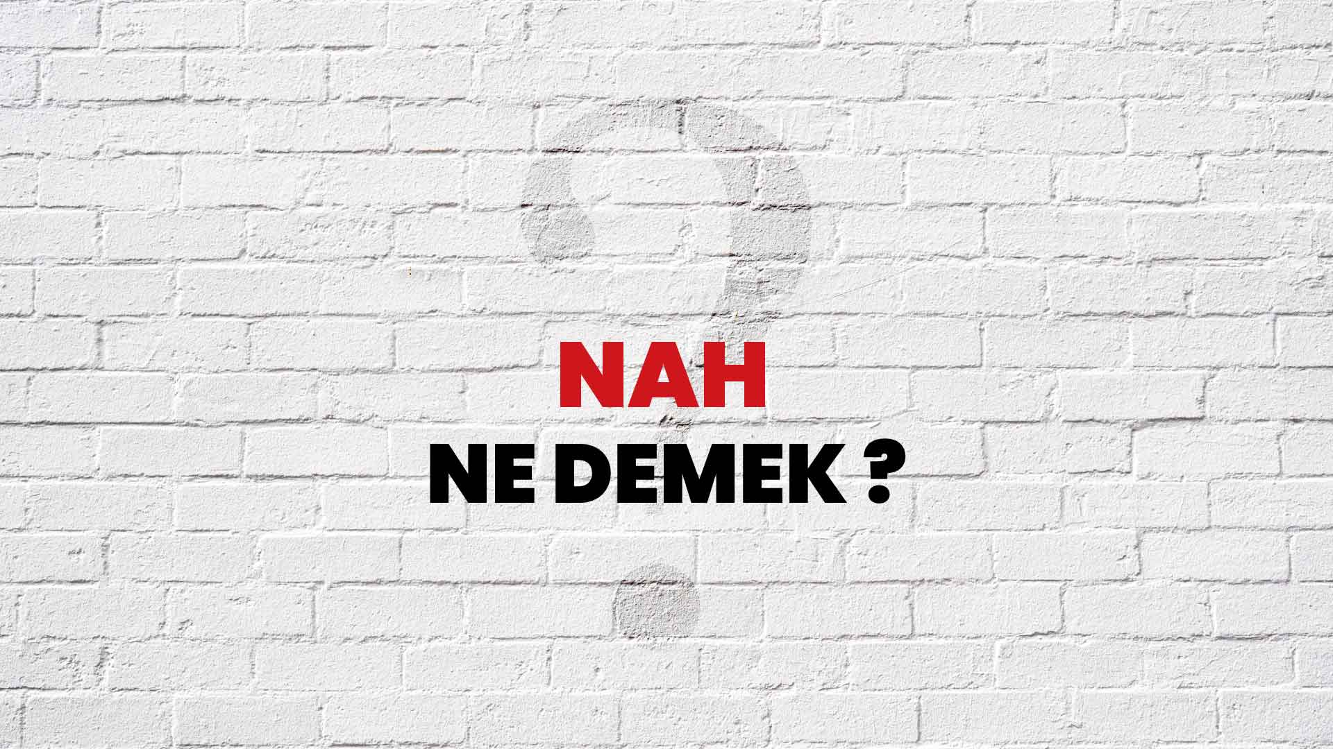 nah ne demektir