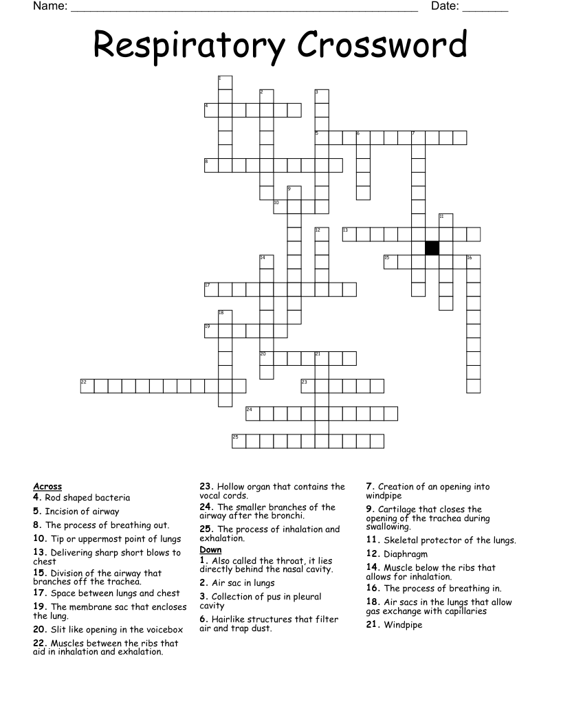 nasal division crossword clue