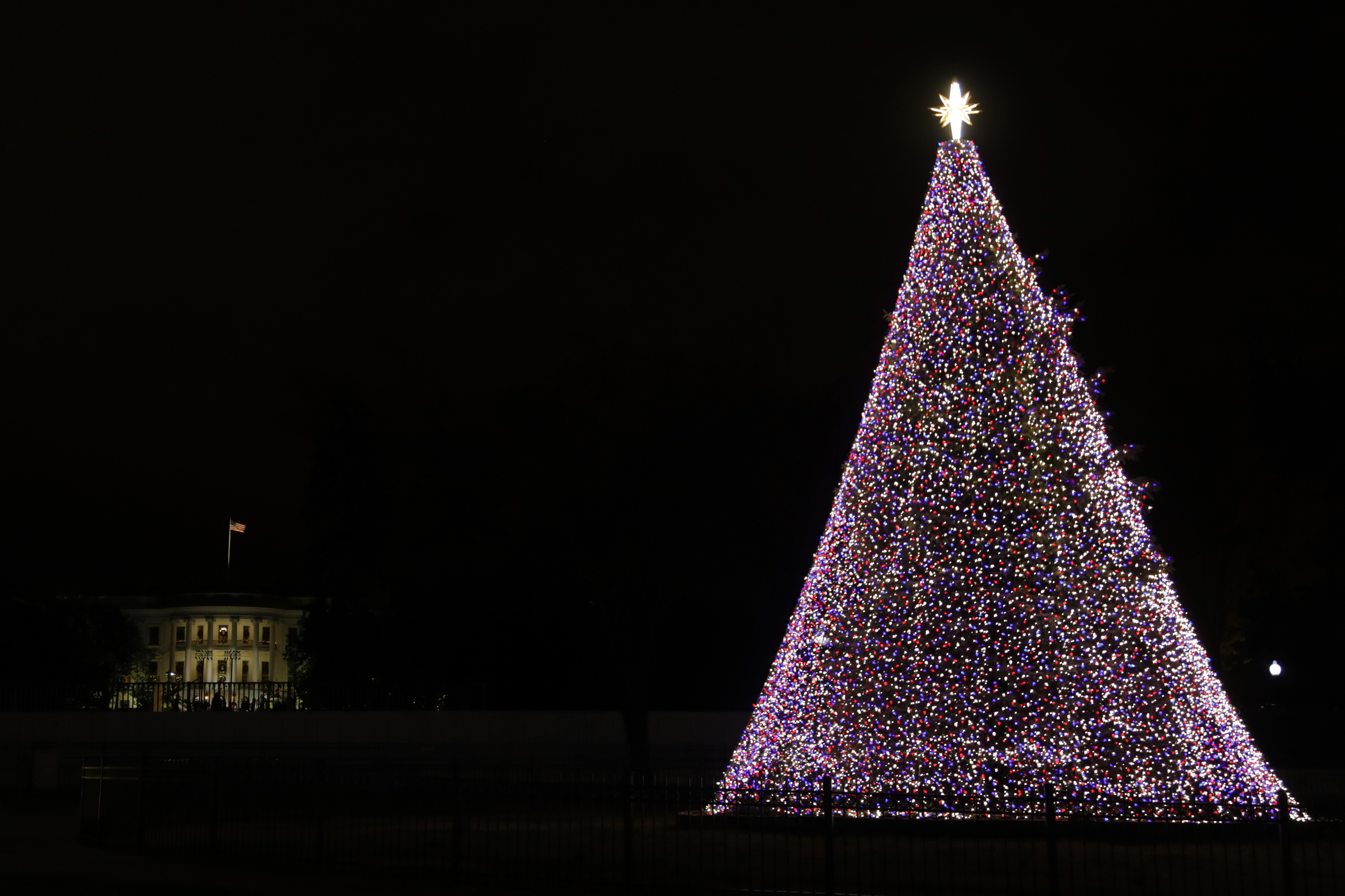 national tree christmas