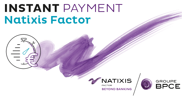 natixis diversified solution