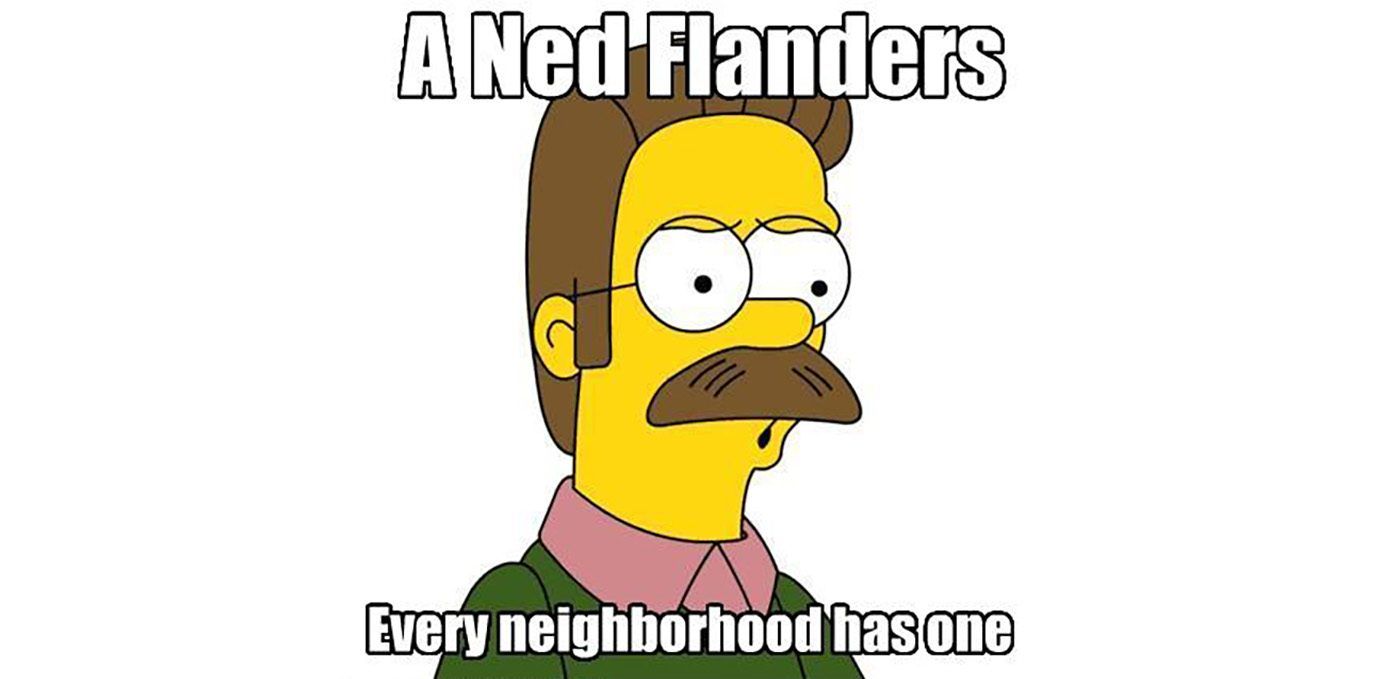 ned flanders meme