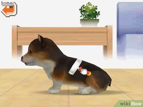 nintendogs how to get trainer points