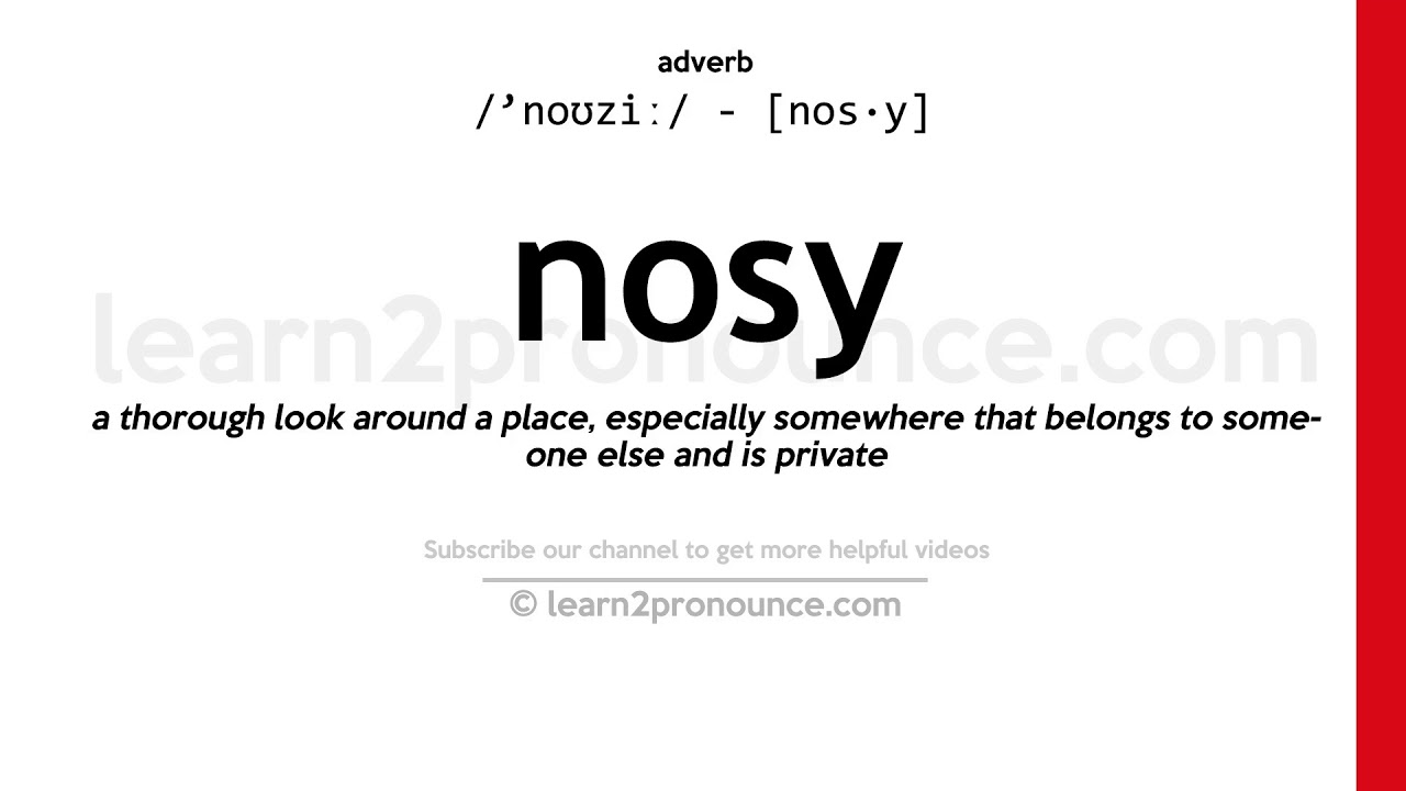 nosy definition