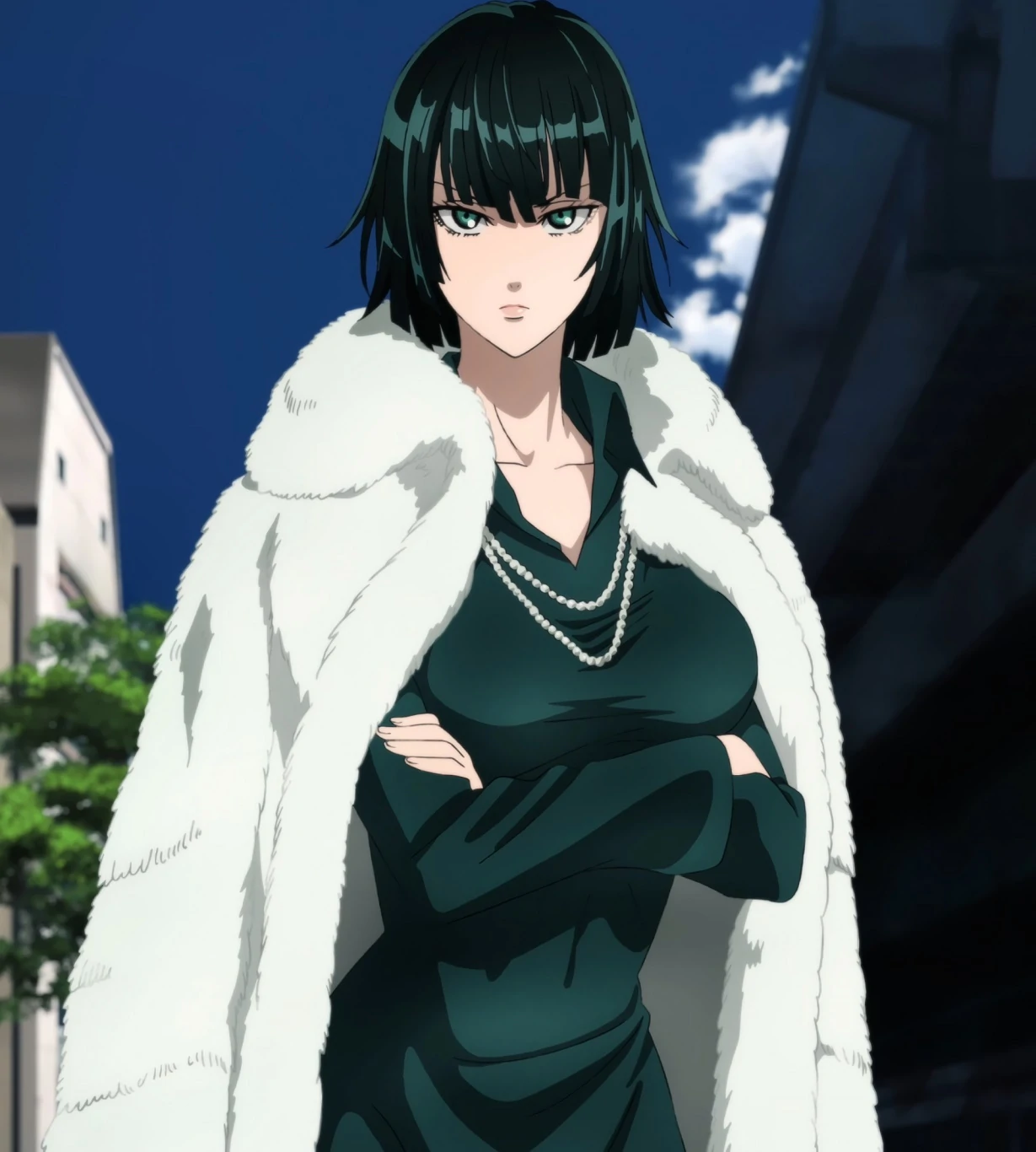 one punch man fubuki