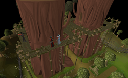 osrs redwood tree seed