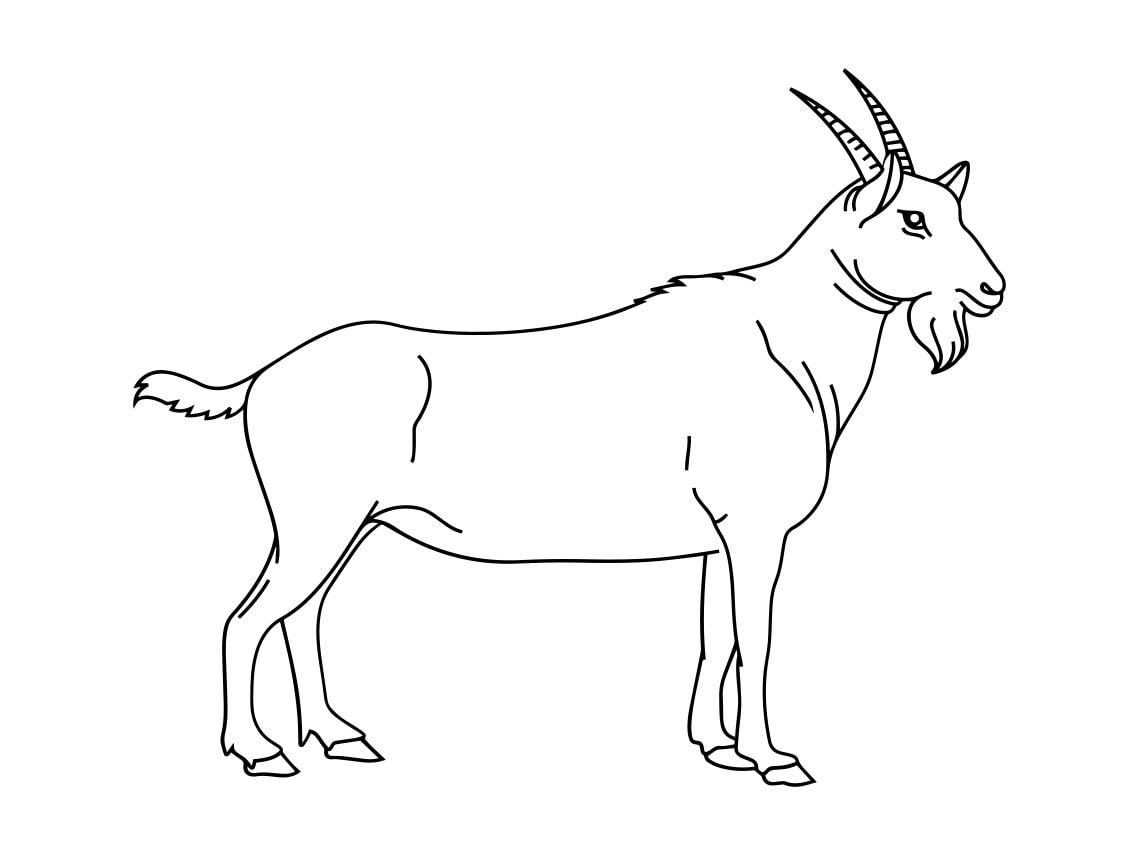 outline picture of goat