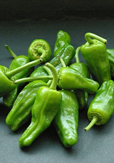 padron peppers tesco