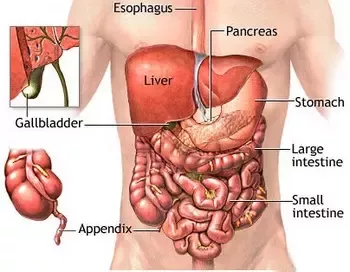 pain left side below the ribs