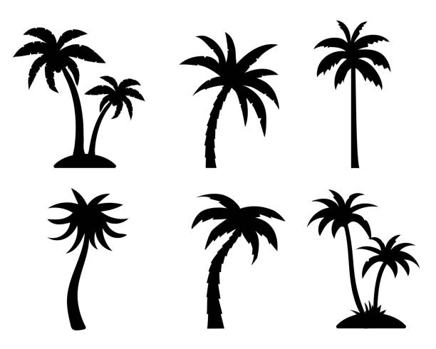 palm tree graphic