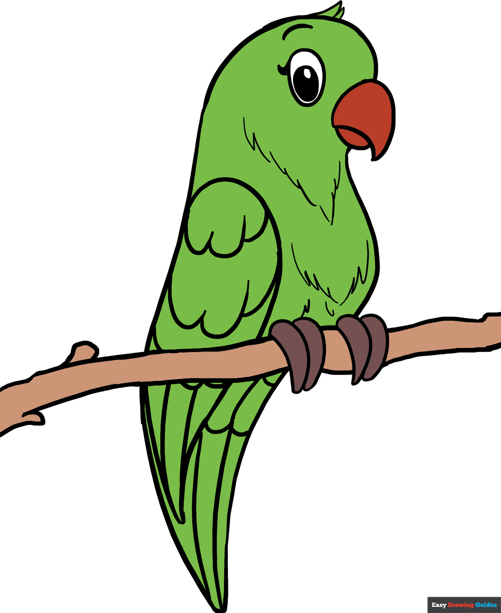 parrot drawing for kids