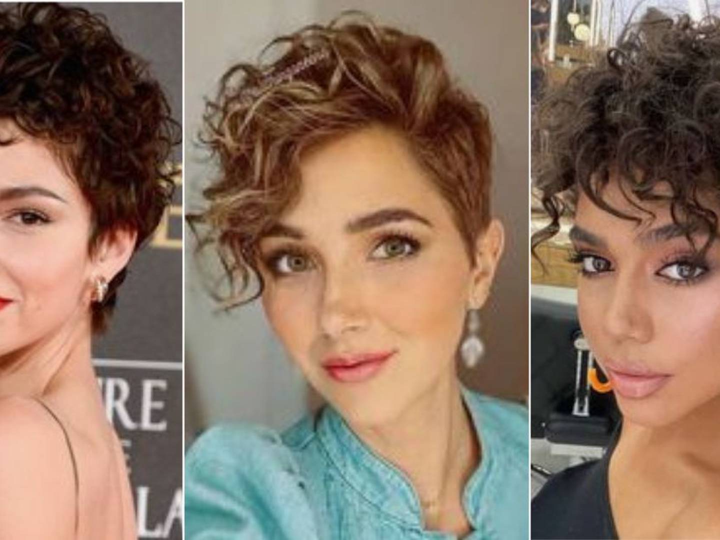 pelo corto rizado