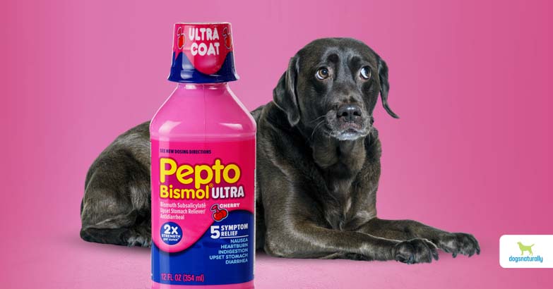 pepto for puppies