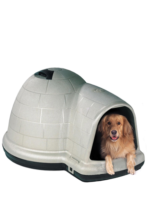 petmate igloo dog house