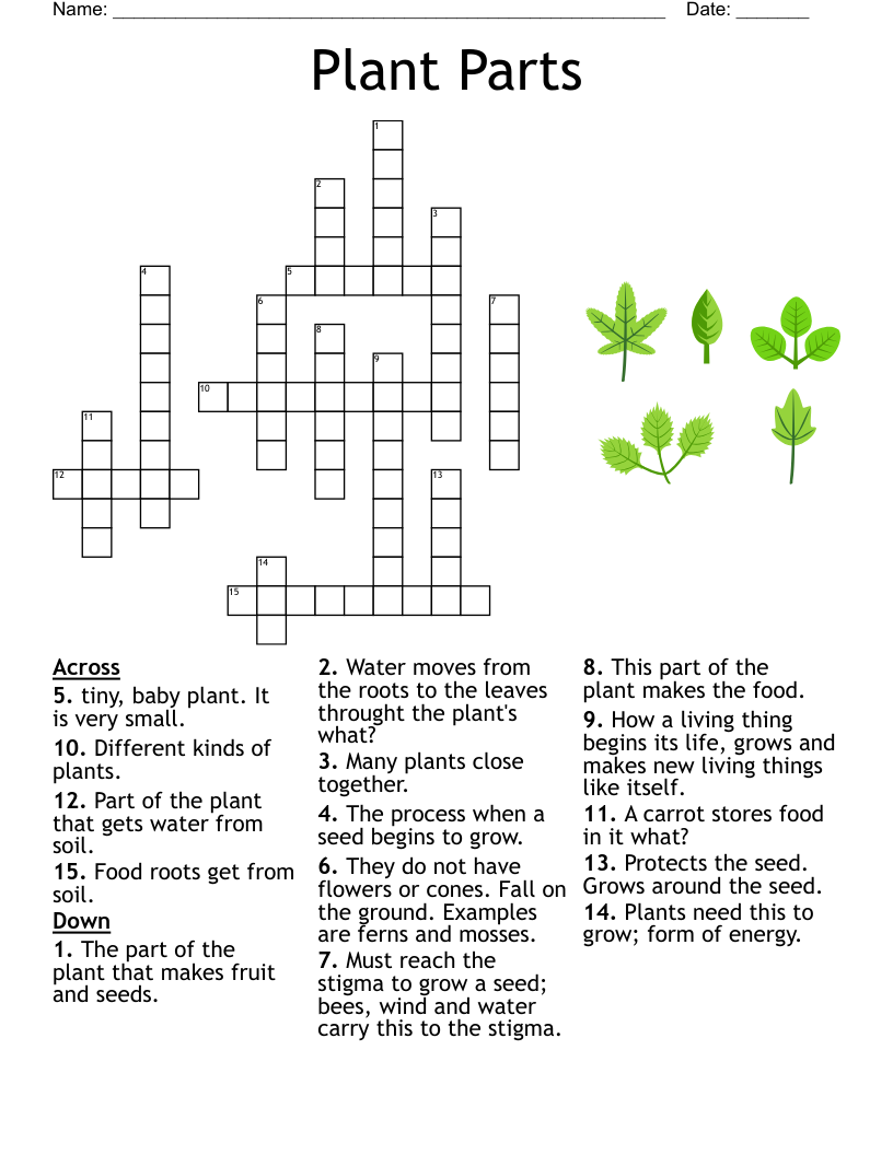 plant crossword clue 6 letters