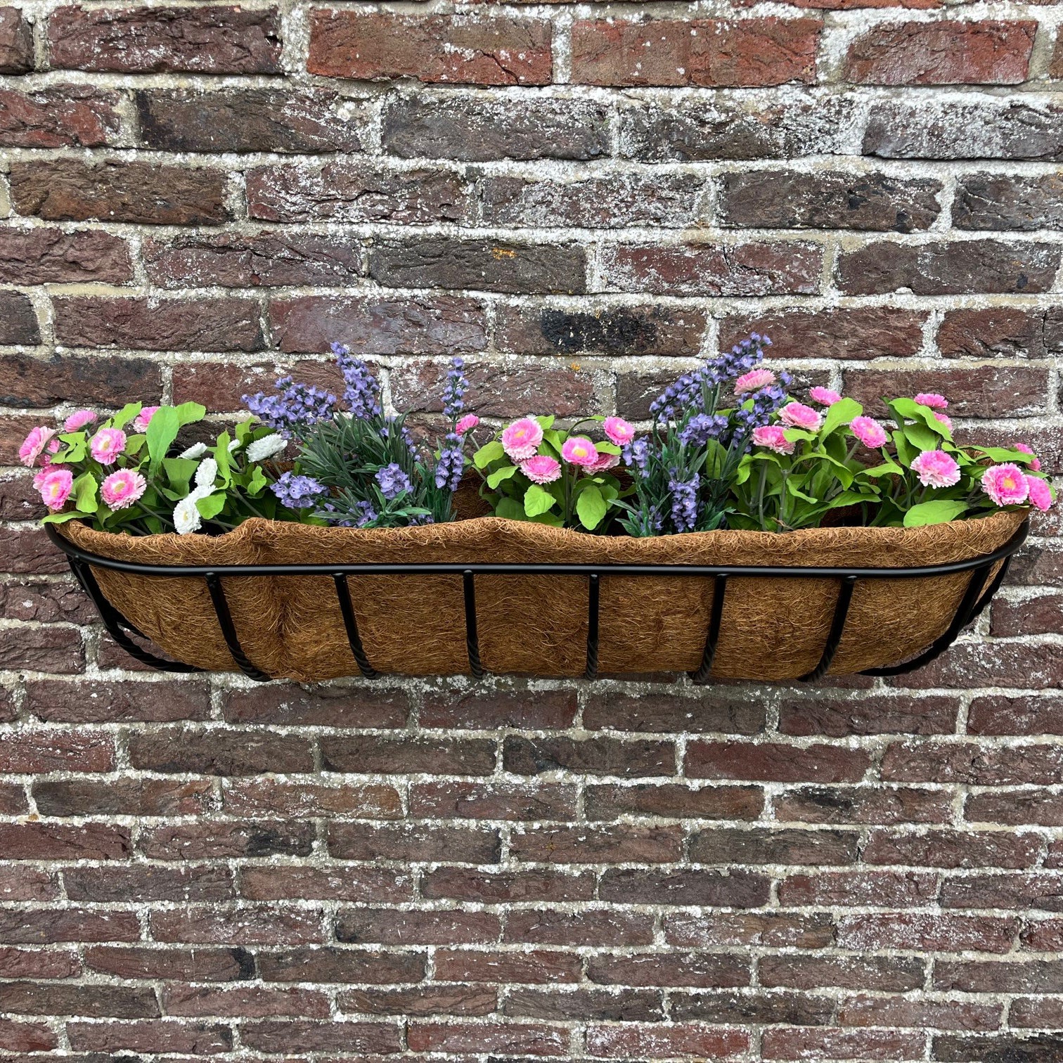 planter baskets wall