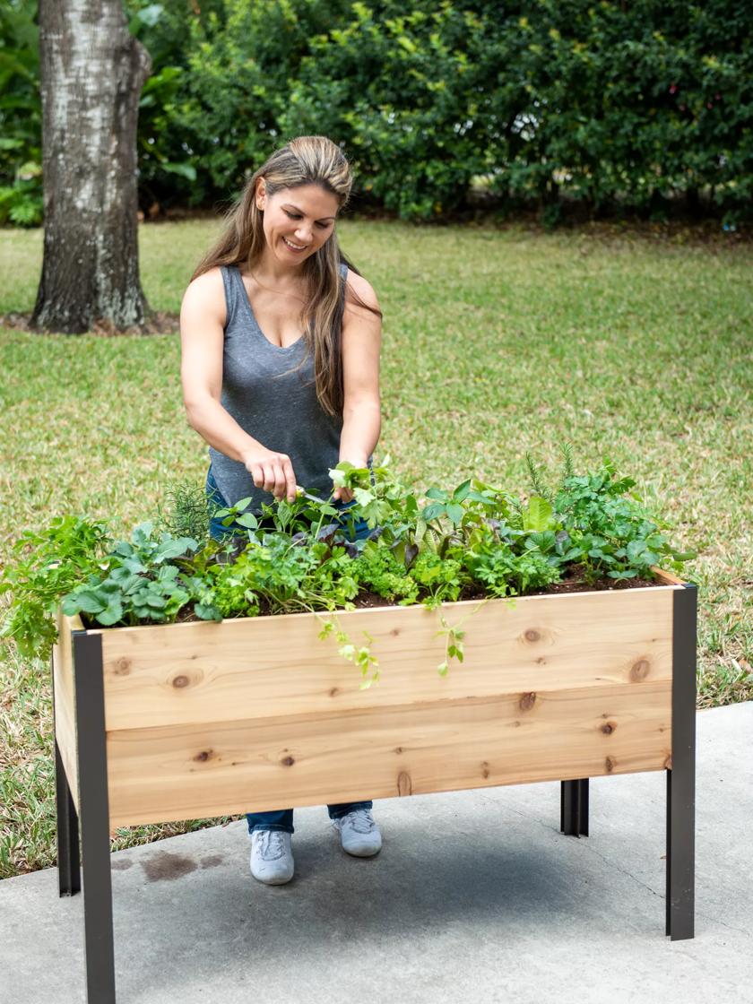 planter boxes elevated