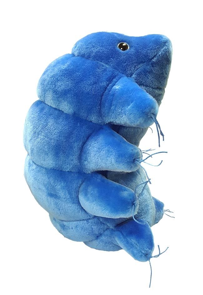 plush water bear