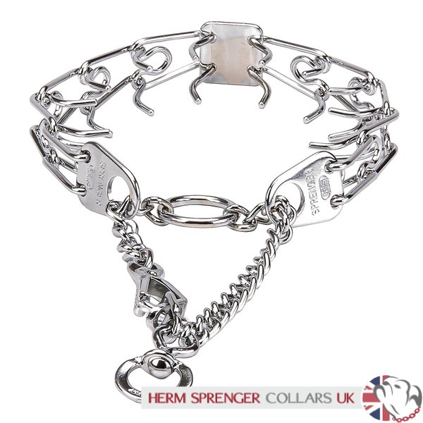 prong collar uk