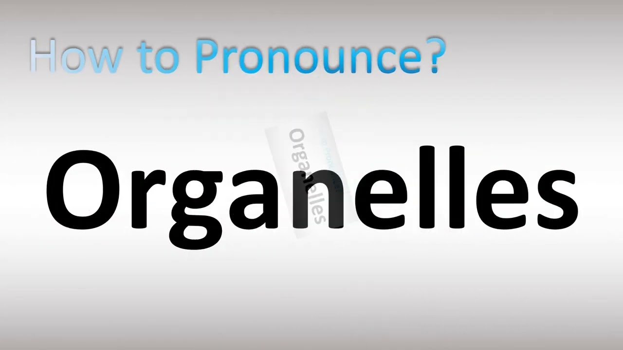 pronunciation of organelles