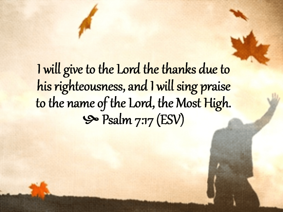 psalm 7 esv