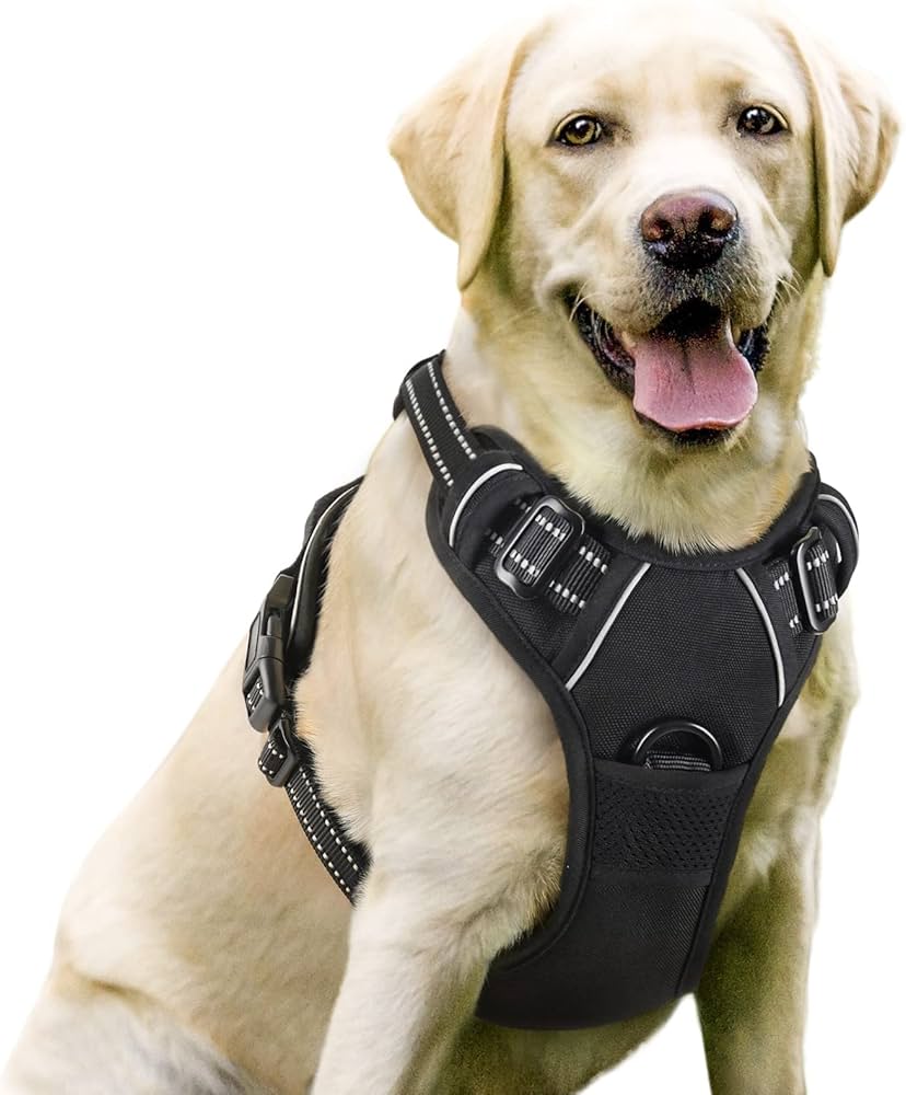 rabbitgoo dog harness uk