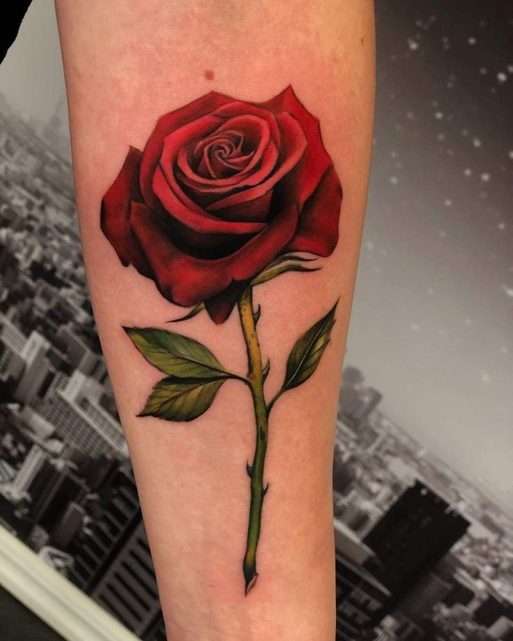 realistic red rose tattoo with stem