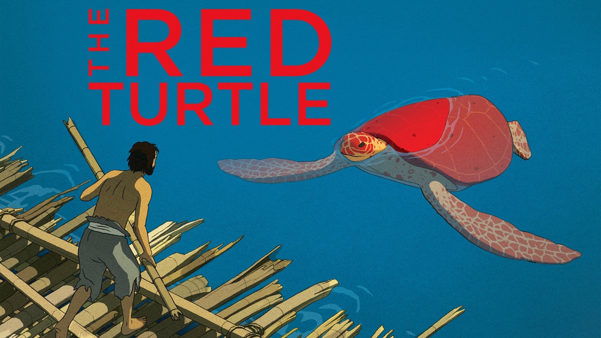 red turtle imdb