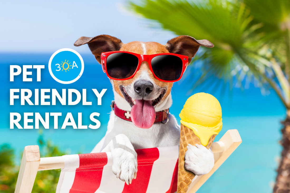 rentals pet friendly