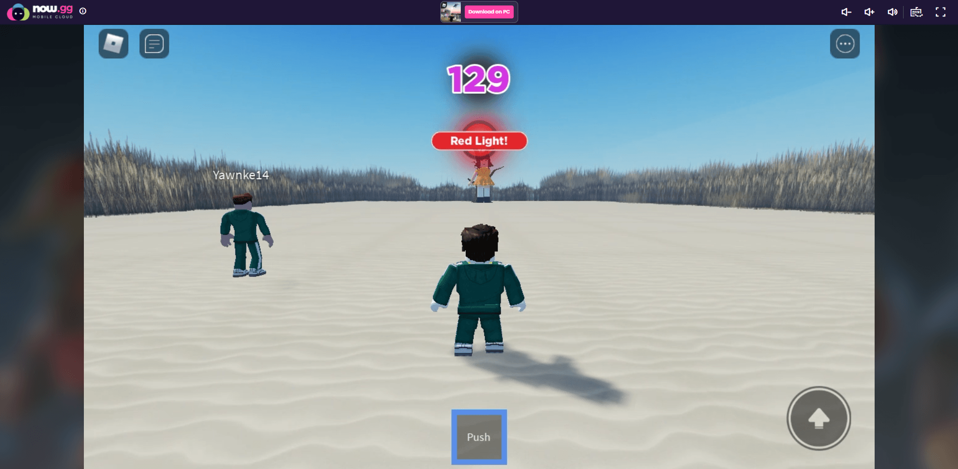 roblox.nowgg