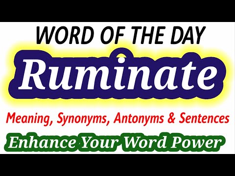 ruminate antonym