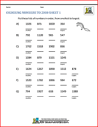 salamander maths