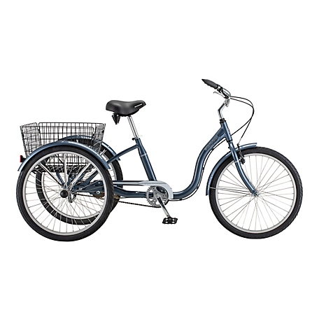 schwinn adult tricycle