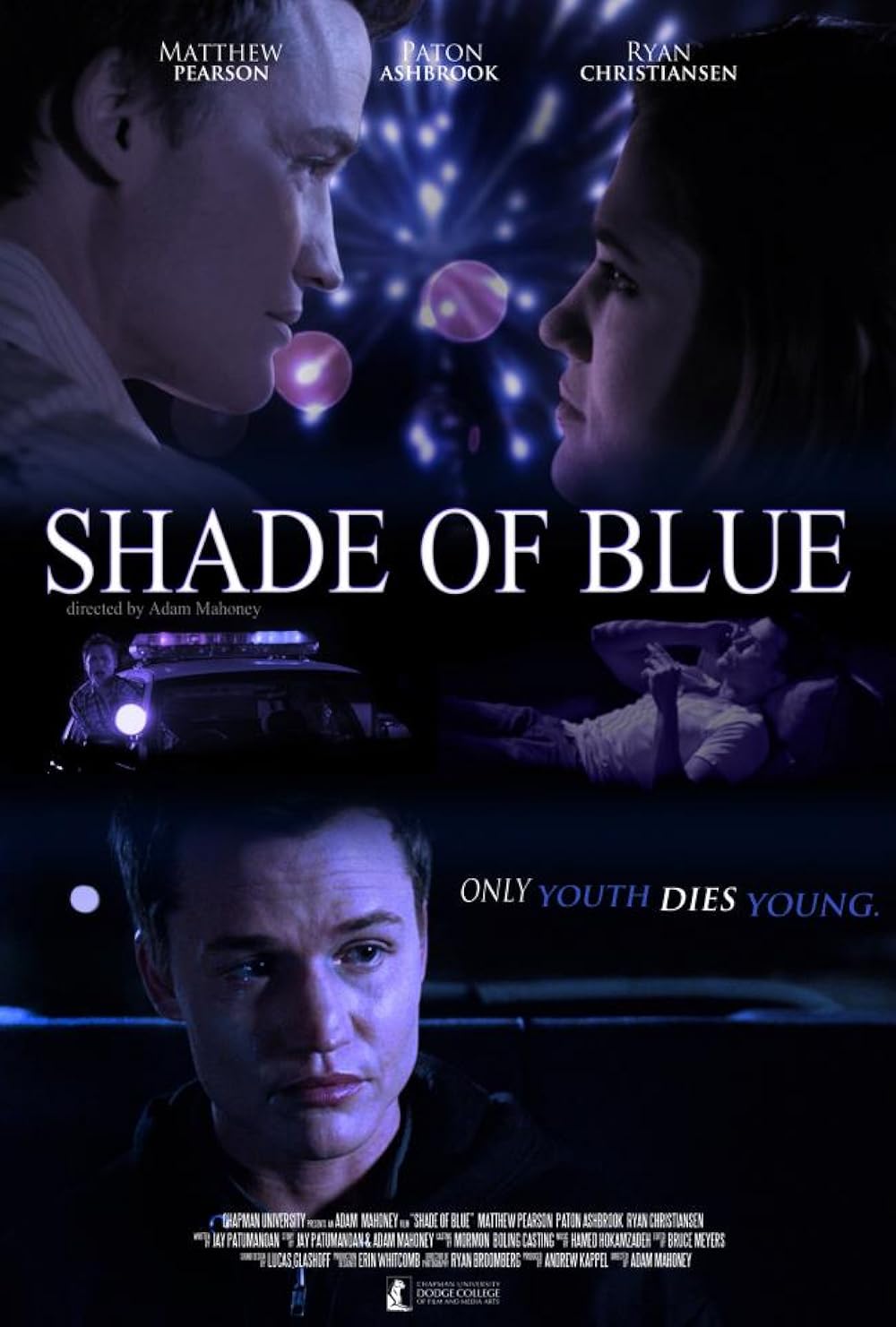 shades of blue imdb