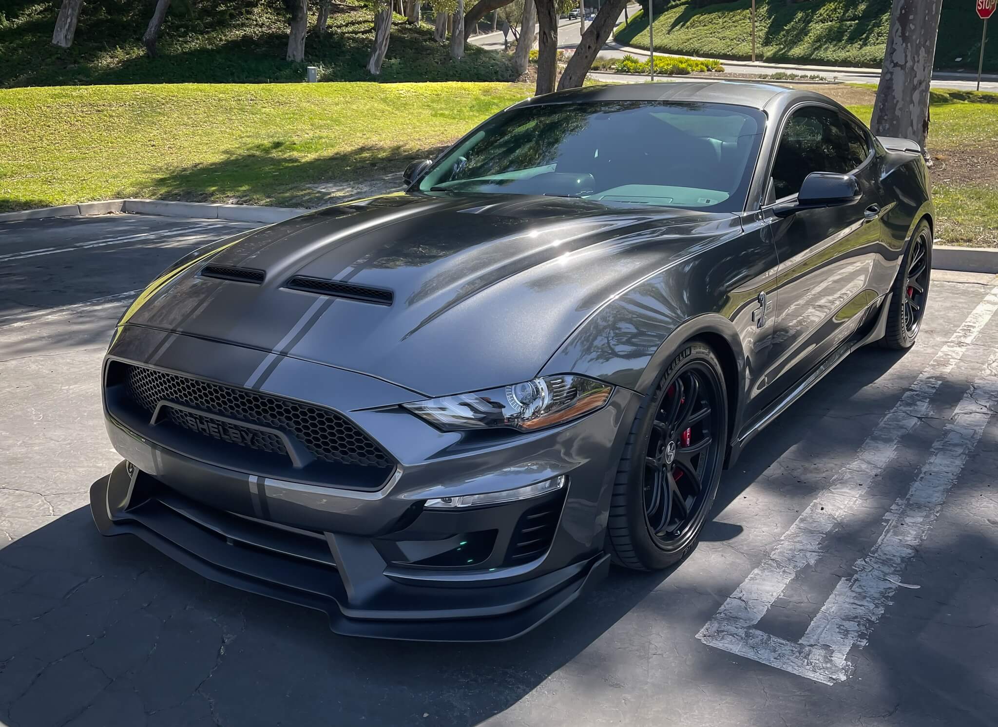 shelby gt500 super snake 2019