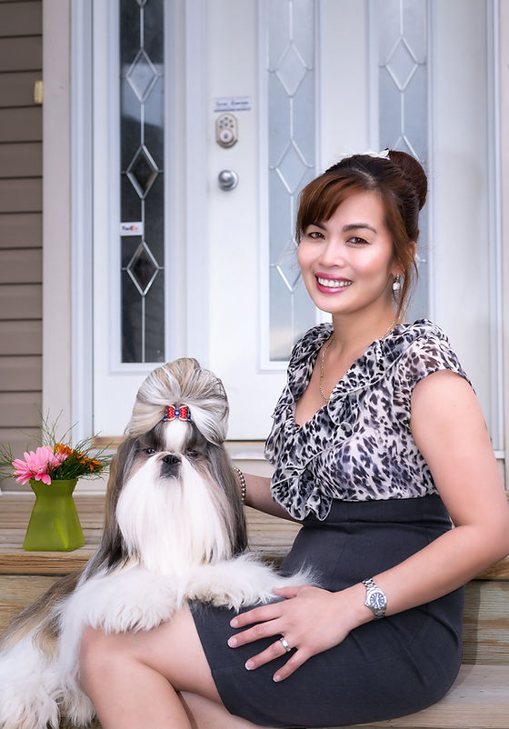 shih tzu breeders alberta