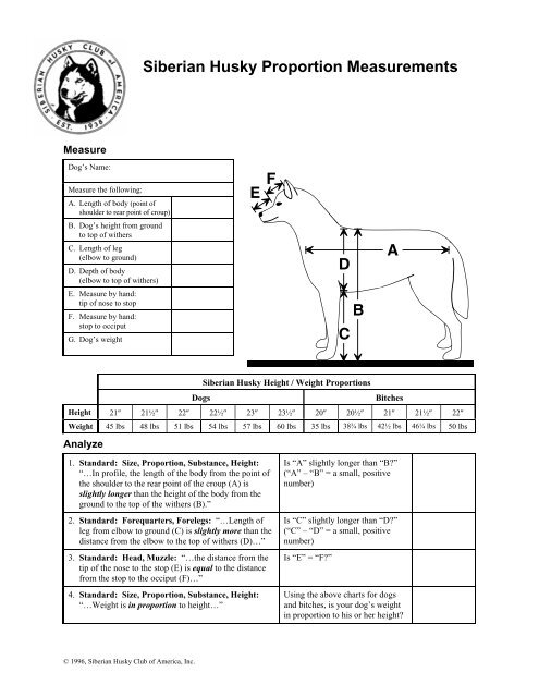 siberian husky dimensions