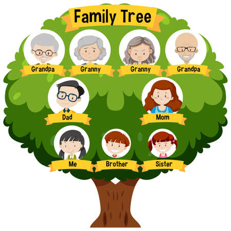 simple family tree clipart