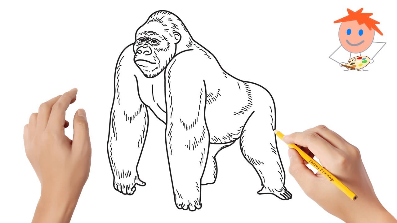 simple gorilla drawing