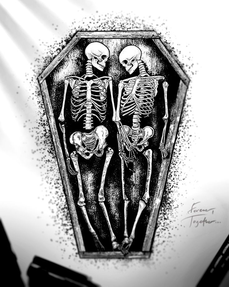 skeleton in coffin drawing